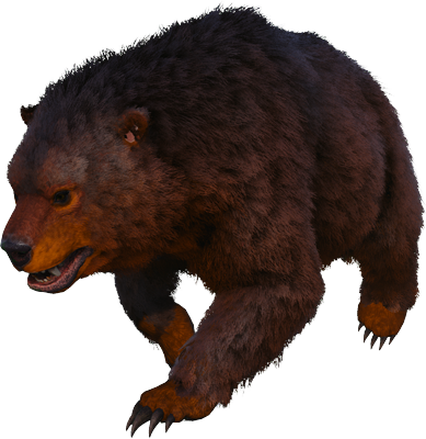 Oso