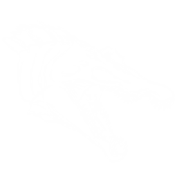 Spino Pack