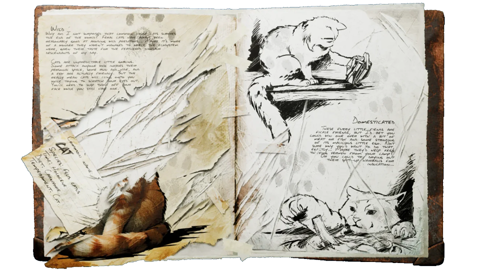 ARK Cat