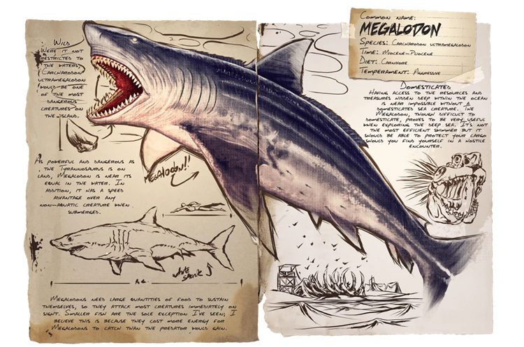 Megalodon