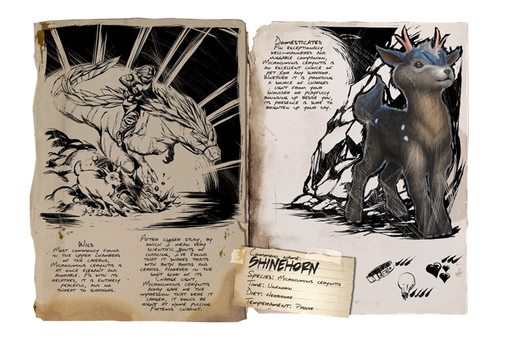 Shinehorn