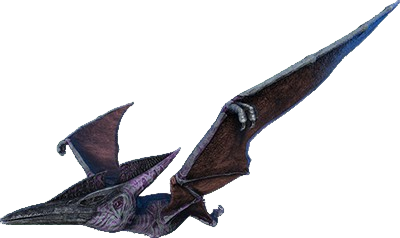 Pteranodon