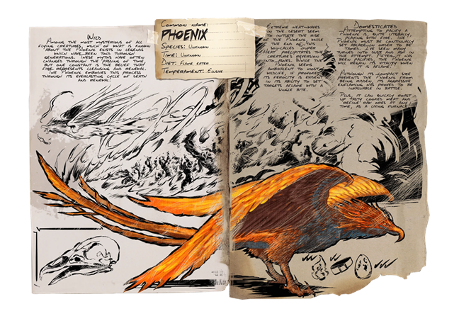 Phoenix Pack