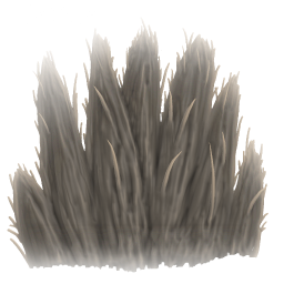 Pelt
