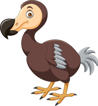 Dodo Club