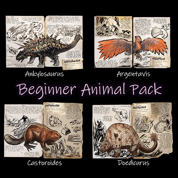 Beginner Animal Pack