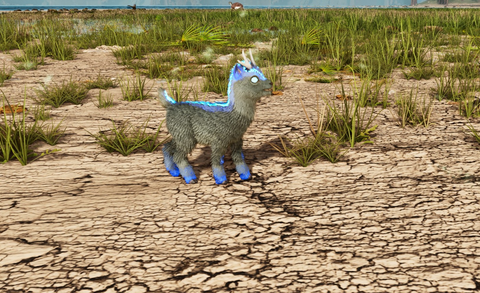 S-Shinehorn