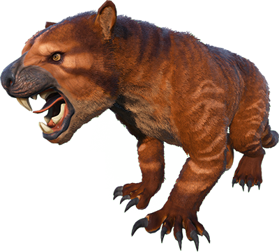 Thylacoleo