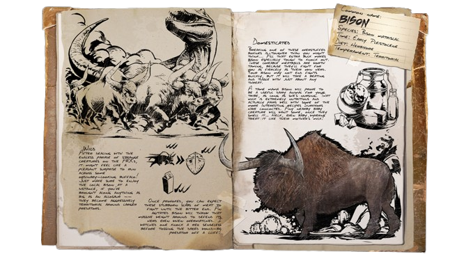 Bison
