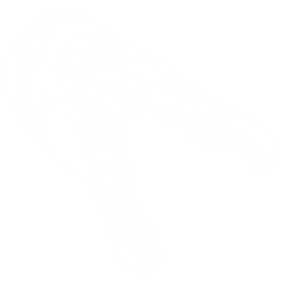 Baryonyx Pack