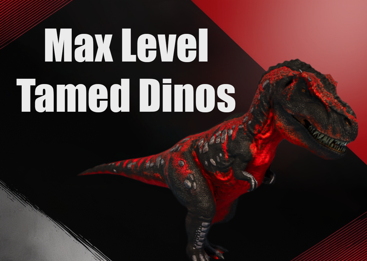 Max Dinos