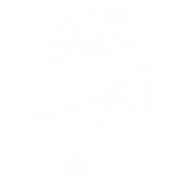 Allosaurus Pack