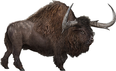 Bisonte Gigante