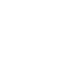 Diplodocus Pack