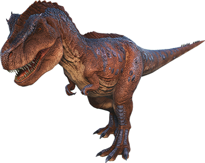 Rex Breeding Pair