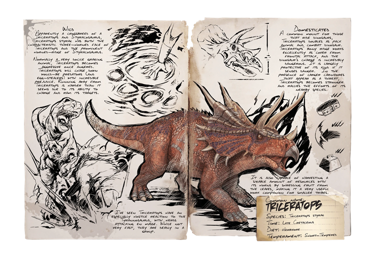 Triceratops