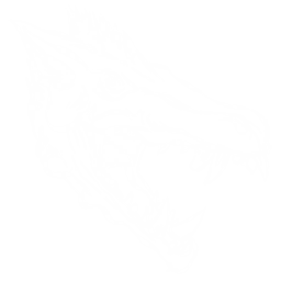 Daeodon Pack