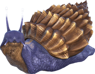 Achatina