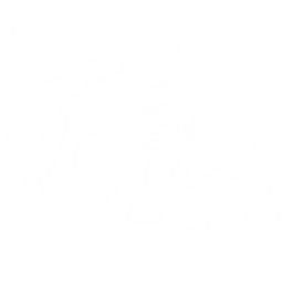 Paracertherium Pack