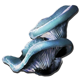 Aquatic Mushroom