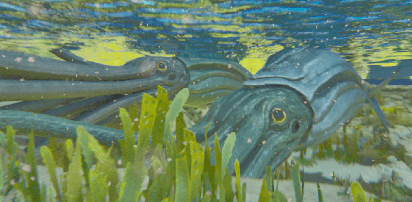 Tusoteuthis breeding pair