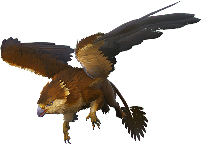 Grifo