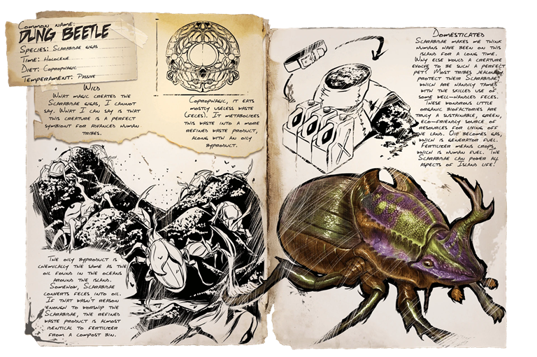 Dung Beetle