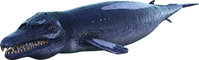 Basilosaurus