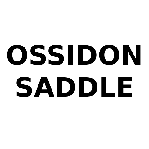 Ossidon Saddle