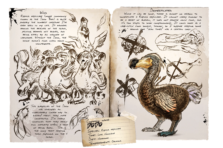 Dodo