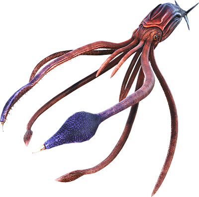 Tusoteuthis