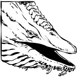 Shastasaurus