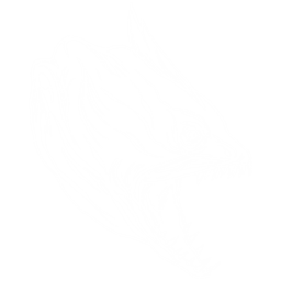 Electrophorus Pack