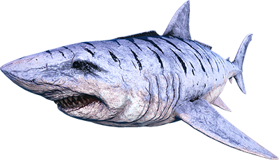 Plano Montura Megalodon