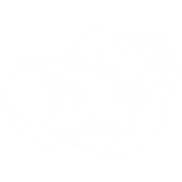 Araneo Pack