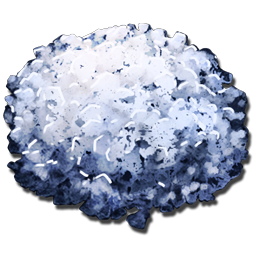 Absorbent Substrate