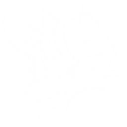 Triceratops Pack