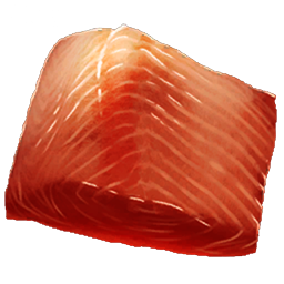 Raw Prime Fish Meat