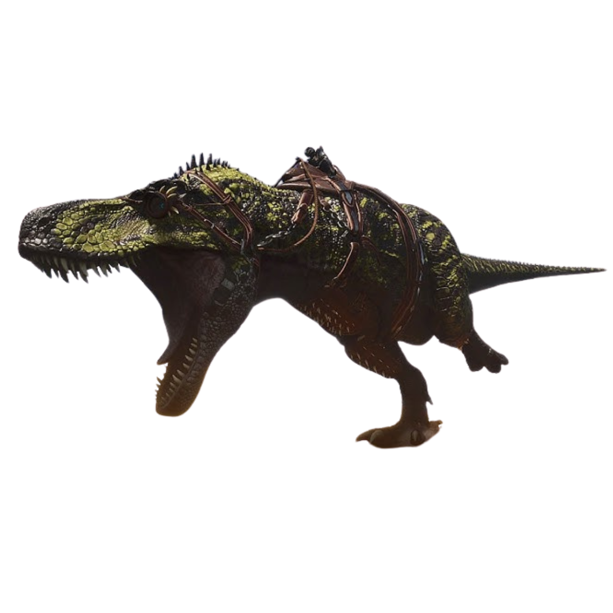 Evo Tarbosaurus