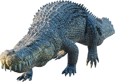 Deinosuchus