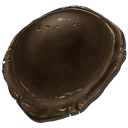 Chitin