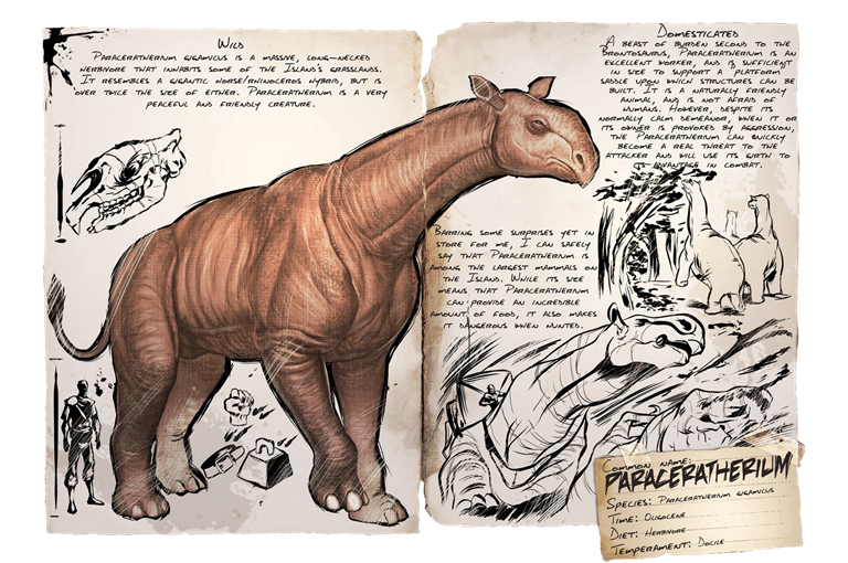 Paracertherium