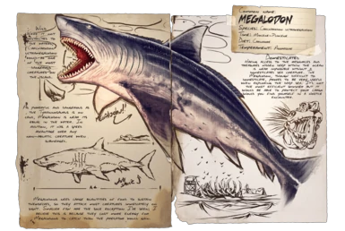 Megalodon