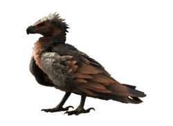 Argentavis 