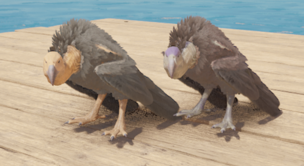 Vulture breeding pair
