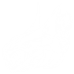 Ravager Pack