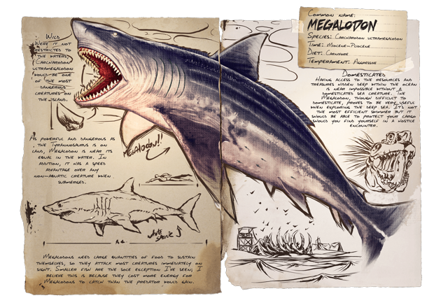 Megalodon