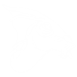 Parasaur Pack