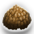 Basic Kibble x 300