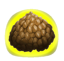 Kibble Pack